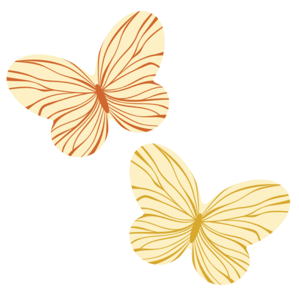 Dekorácia motýliky F037051